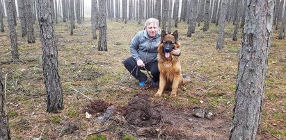 Wyszedł z psem na spacer. Jego owczarek dokonał strasznego odkrycia