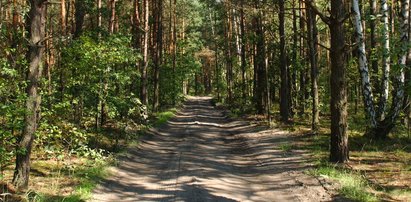 Zgubiła się w lesie! Przeżyła, bo piła mleko z własnych piersi