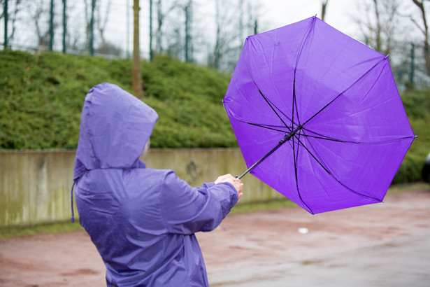 IMGW ostrzega przed silnym wiatrem. Sprwdź, które województwa są zagrożone