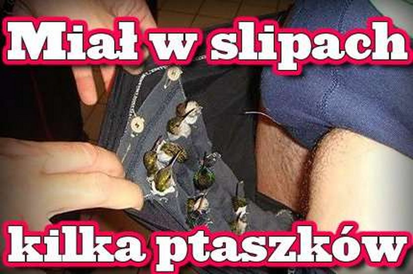 Miał w slipach kilka ptaszków