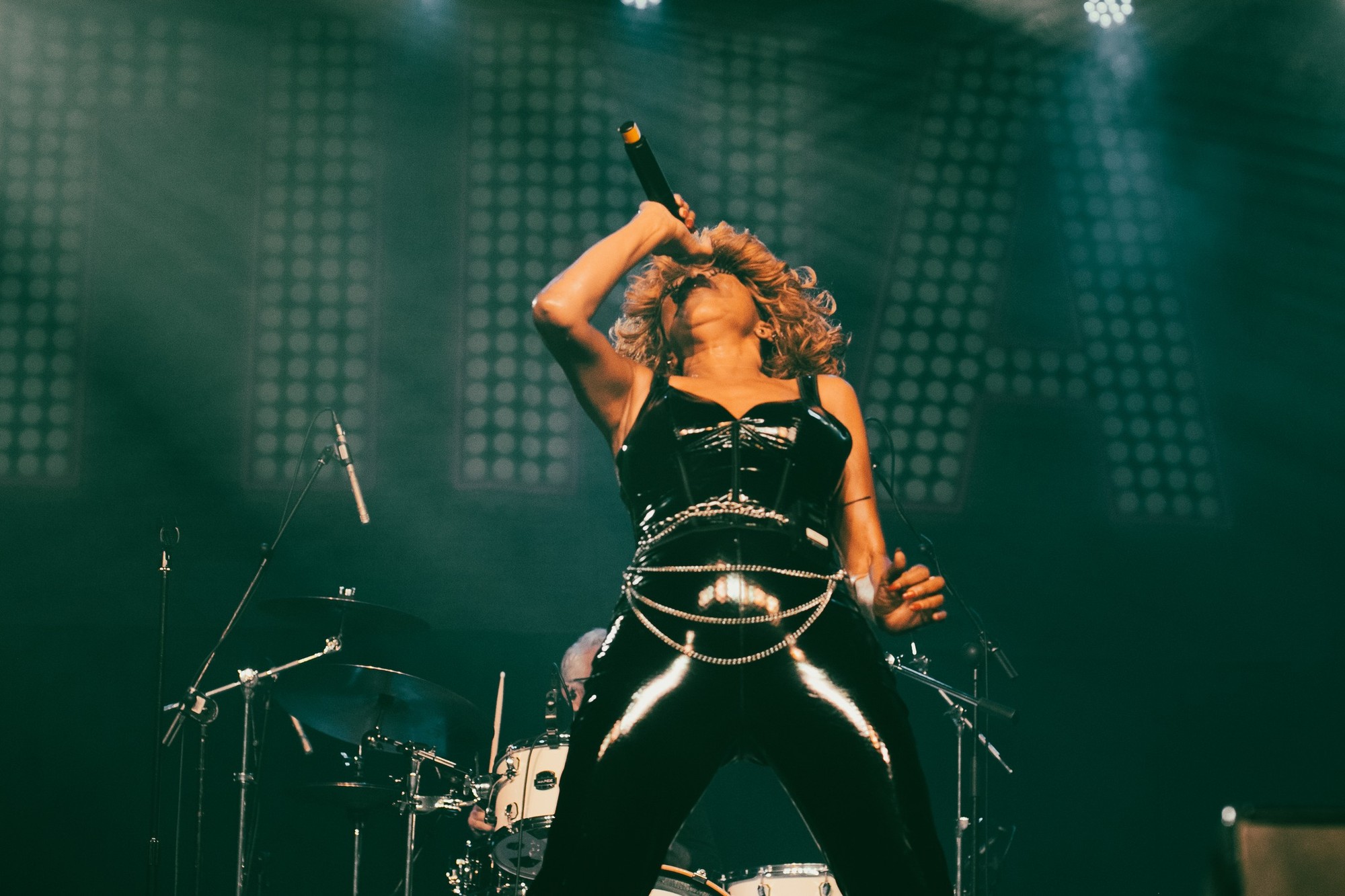 Tina Turner Show 