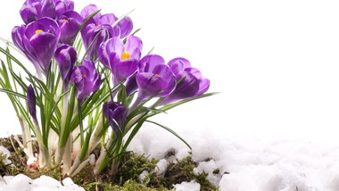 wiosenna pogoda zawita do polski! nasz kraj znajdzie się pod wpływem potężnego wyżu. kiedy?