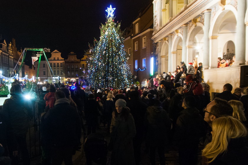 Miejska choinka rozświetlona przez prezydenta Poznania