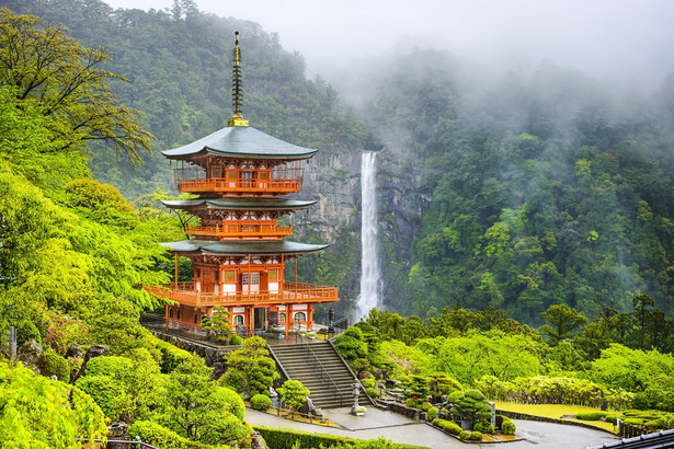 Na szlaku Kumano Kodo Jeden z najpiękniejszych szlaków turystycznych Japonii, Kumano Kodō, prowadzi przez górzysty Półwysep Kii, znajdujący się na południe od Osaki. Kiedyś był on trasą pielgrzymki zarezerwowanej dla cesarzy i samurajów, dziś jest otwarty dla wszystkich poszukiwaczy i wędrowców. – Przez lata na szlaku zbudowano wiele buddyjskich świątyń i sanktuariów Shintō – rodzimej religii Japonii. W 2004 r. Kumano Kodō i budowle znajdujące się na szlaku otrzymały status światowego dziedzictwa – obecnie jest to jedna z dwóch dróg pielgrzymkowych na całym świecie uznanych przez UNESCO (drugą jest Santiago de Compostela) – zaznacza przedstawiciel biura Rainbow. Miastem uważanym za bramę do Kumano Kodo jest Tanabe . Przed podróżą można się tu wzmocnić sashimi, yakitori, sake i miejscową specjalnością umeshu (japońskim likierem morelowym). Trasa prowadzi od świątyni Takijiri-ōji, rozpoczyna się od stromej wspinaczki i prowadzi wzdłuż korzeni drzew i głazów, aż do Takahary, nazywanej "wioską we mgle". To idealne miejsce na nocleg przed dalszą drogą. Bez względu jaką trasę obierzemy, wszędzie napotkamy na tak zwane "punkty mocy". Są to świątynie, lasy i wodospady, w których można odnaleźć harmonię, uporządkować myśli i wzbogacić duszę. Warto uwzględnić jednak takie miejsca jak Kumano Sanzan - trzy wielkie świątynie Kumano - które są kamieniem węgielnym szlaku Nakahechi (znanego również jako Szlak Cesarski). Pierwsza z nich to Hongū Taisha wznosząca się nad pokrytym drzewami grzbietem. Na południowy wschód od niej leży drugie z wielkich sanktuariów tego obszaru, Nachi Taisha – pomarańczowa pagoda przy wodospadzie Nachi-nie-taki, najwyższym wodospadzie w Japonii. Aby dotrzeć do Kumano Hayatama Taisha, ostatniej z trzech świątyń, tradycyjnie trzeba pokonać trasę w dół rzeki Kumano-gawa do miejsca, w którym wpada ona do ogromnego Pacyfiku. Źródło: r.pl/japonia >>