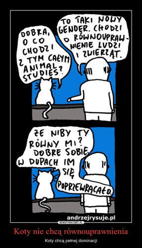 Najlepsze memy tygodnia