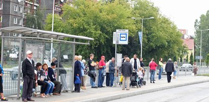 Przystanki nam wypięknieją