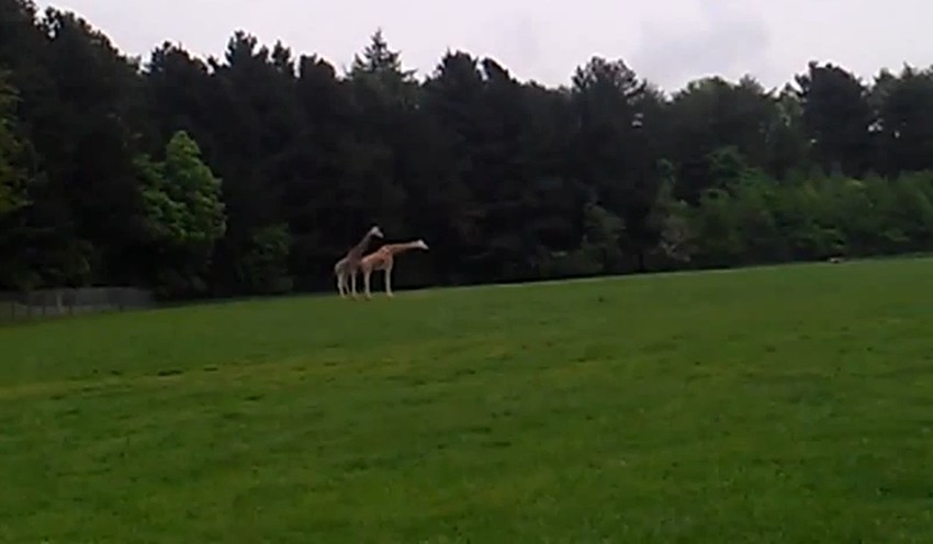 Trema u najnezgodnijem trenutku