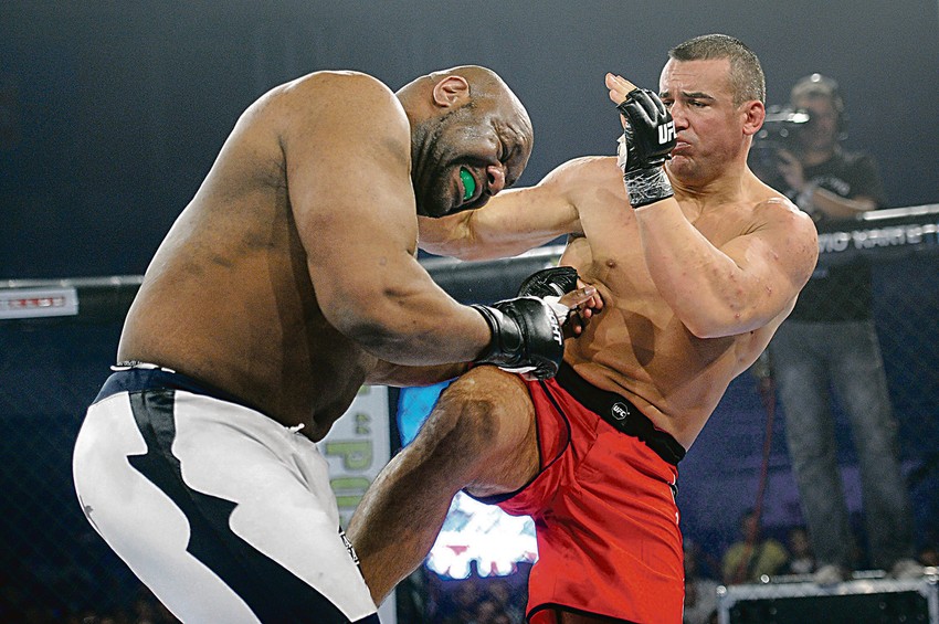 Panajotović u meču sa Bobom Sapom  U svom pisanom saopštenju, MUP je juče potvrdio hapšenje Panajotovića.   "Pripadnici Ministarstva unutrašnjih poslova u Beogradu uhapsili su D. P. (1978) iz Beograda, zbog postojanja osnovane sumnje da je pokušao da ubije dvadesetčetvorogodišnjeg mladića. U martu ove godine, u ranim jutarnjim Stanija Dobrojević, pre odlaska u Ameriku ove godine, takođe se družila, navodno, intenzivno "družila" sa Panajotovićem, a u Sutomoru su ih "uhvatili" i fotoreporteri. časovima u Beogradu, u ulici Bulevar Vojvode Bojevića broj 30, ispred kafića, nakon tuče između oštećenog i njegovih prijatelja i više nepoznatih osoba, D. P. je pucao i teško ga ranio u stomak. Ranjenom mladiću lekarska pomoć ukazana je u Urgentnom centru, gde su mu konstatovane teške telesne povrede. Za osumnjičenim D. P. raspisana je potraga zbog postojanja osnova sumnje da je učestvovao u izvršenju ovog dela i uhapšen je u Beogradu", navodi se u saopštenju.