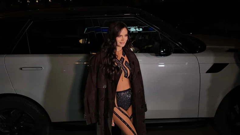 Stajling Milice Pavlović