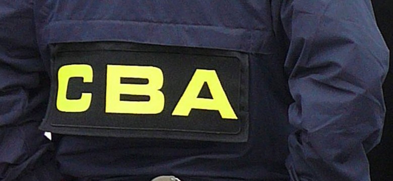 Spis powszechny jeszcze nie ruszył, a już bada go CBA