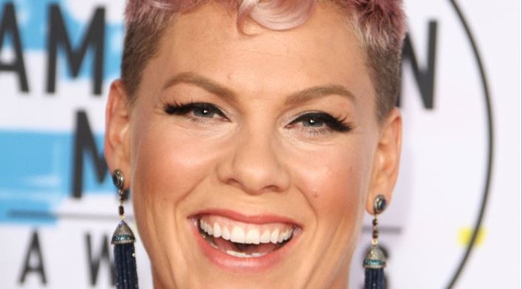 Pink és családja voltak a legcukibbak a 60. Grammy átadón - Fotók