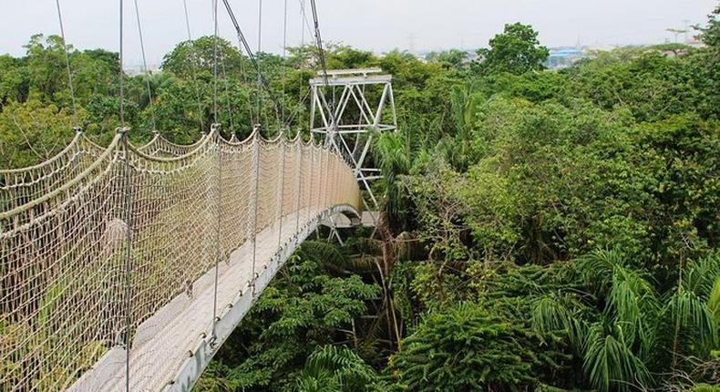 Lekki Conservation Centre {viator}