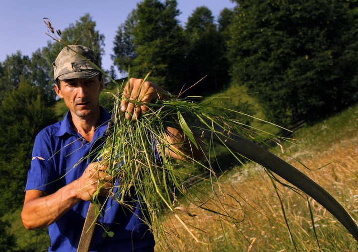 Krajobrazy w wiosce Magura w rumuńskiej Transylwanii