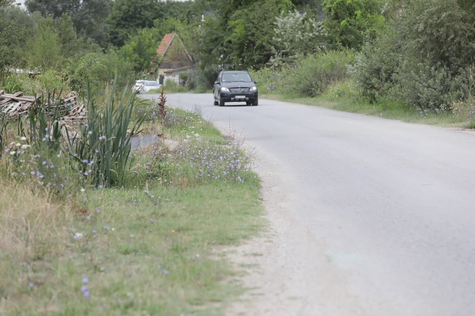Vinogradska ulica, mesto gde je autobus udario u dečaka (2)