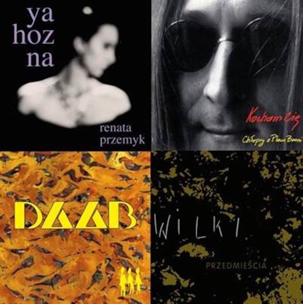 Renata Przemyk, Wilki, Daab, Chłopcy z Placu Broni... Legendarne albumy trafiły na winyle