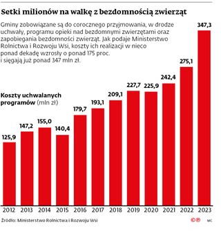 Setki milionów na walkę z bezdomnością zwierząt