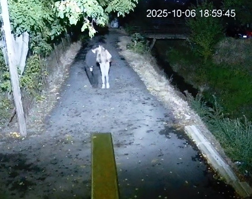 Šok detalji odnosa Sofije Janićijević i Daneta (70): Postoje intimni snimci