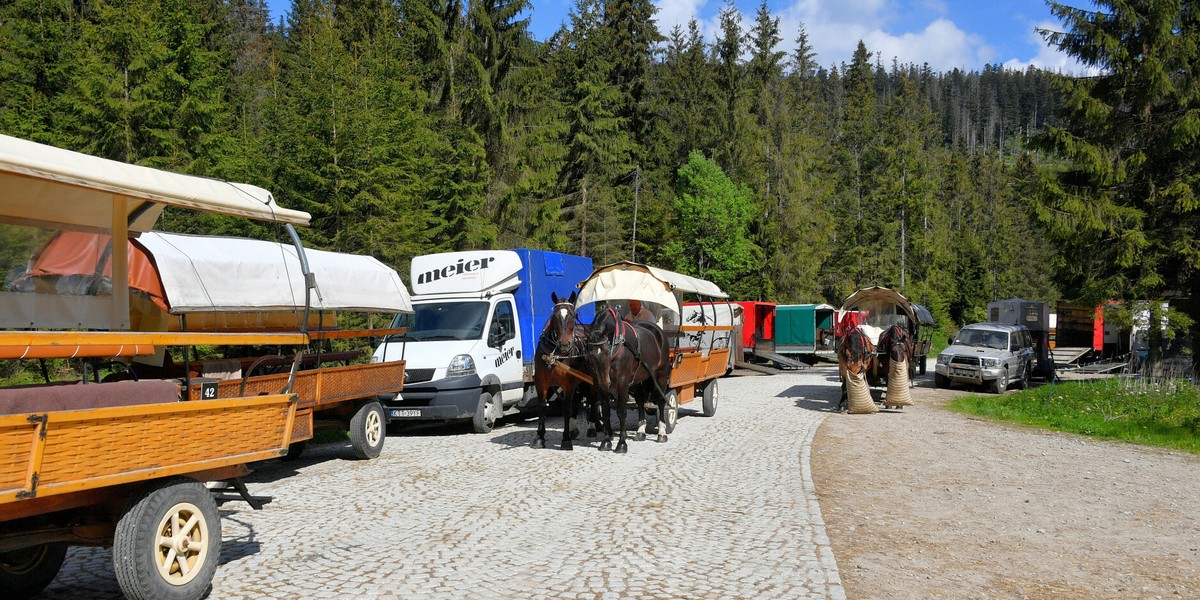 Ceny wjazdu dorożką pod Morskie Oko poszły w górę