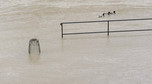 Powódź w Paryżu 8.02.2021, Sekwana wylała - rzeka wezbrała do poziomu 4,35m
