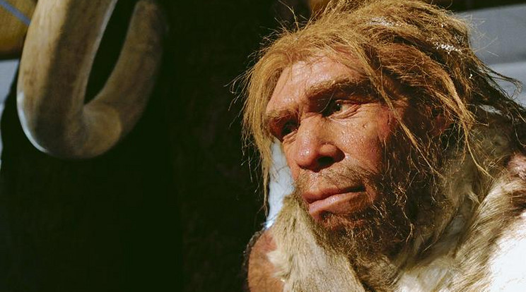 Ez okozhatta a neandervölgyi ember kihalását / Fotó: MTI