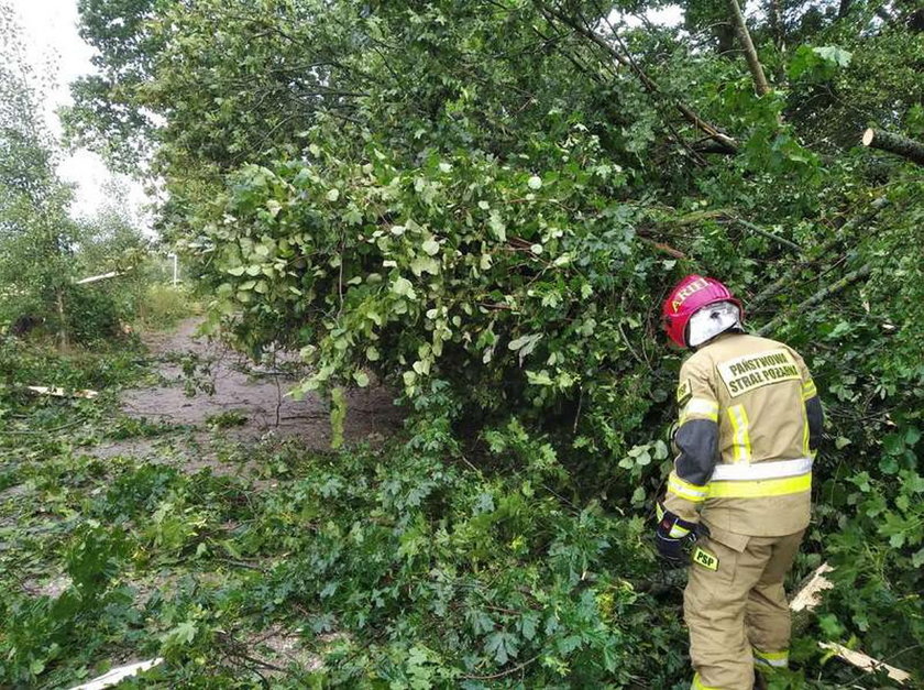 Zniszczone budynki, połamane drzewa i podtopienia. Burze w Polsce