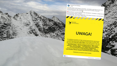 Gniazdo sokołów w Tatrach. TPN zamyka niektóre szlaki