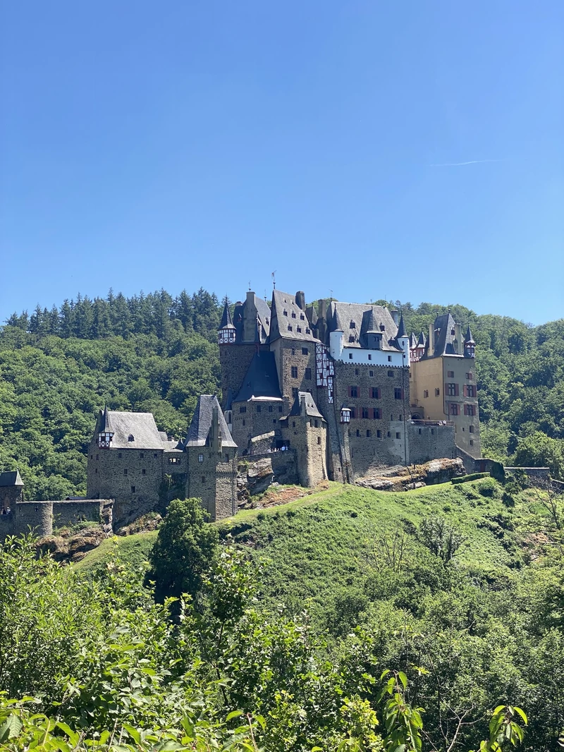 Zamek Eltz