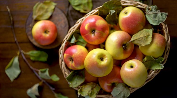 Fontos az alma megfelelő tárolása / Fotó: Northfoto