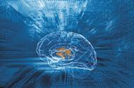 Human brain and circuit board
