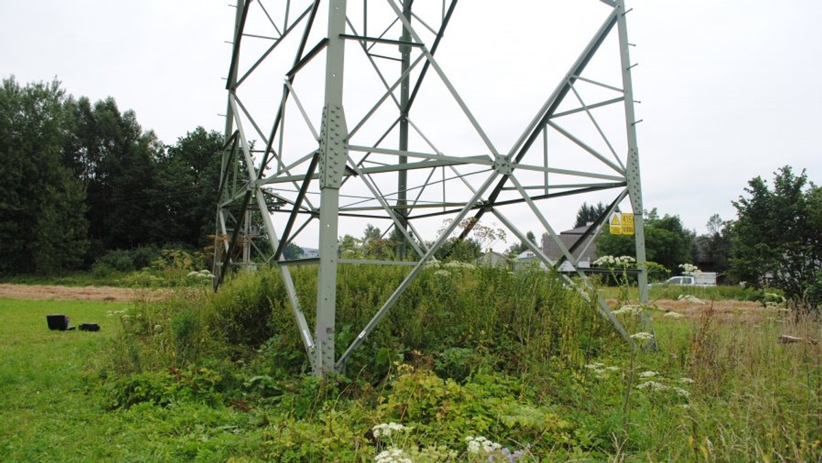 Haczów: chciał ściąć 14-tonowy słup energetyczny. Przegrał w sądzie