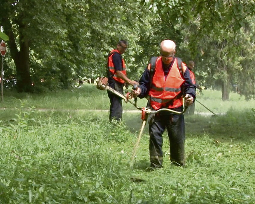  Privremeni posao dobiće 33 osuđenika