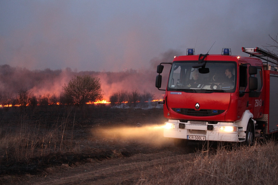 Pożar traw na krakowskim Ruczaju, Fot. Łukasz Boroń/Daj znać!