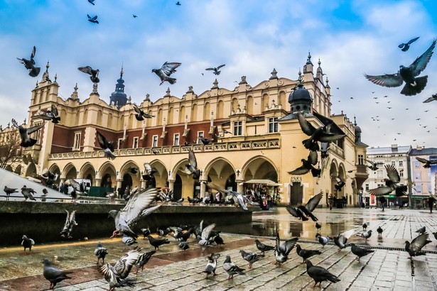 Polska rajem turystycznym. Czy Niemcy rzucą się na wczasy nad Wisłą?