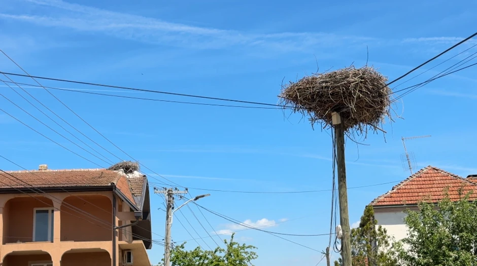 Rode u selu Donje Međurovo
