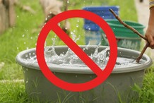 Zakaz używania deszczówki do podlewania trawników i roślin. Nie można myć nią tarasu ani auta. Dlaczego obowiązują takie ograniczenia?