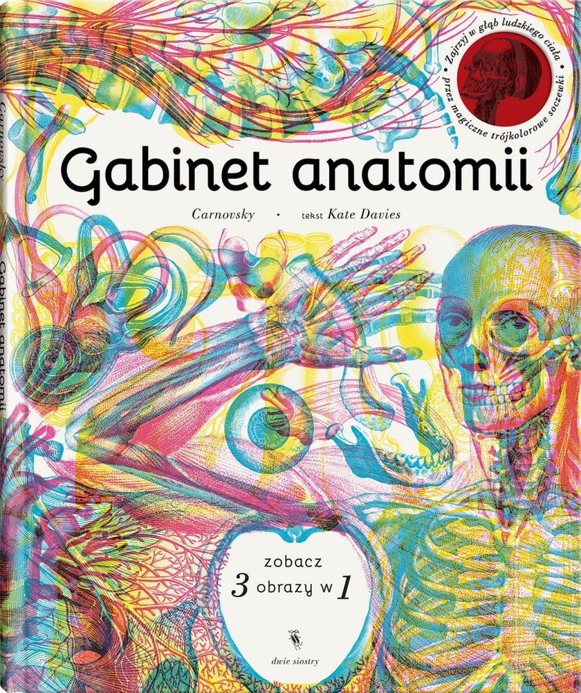 "Gabinet anatomii"