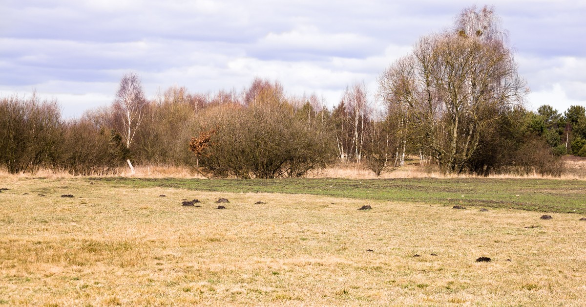 Europa na progu suszy. Najnowsze dane pokazują, jak gwałtownie tracimy wodę. Polska zagrożona