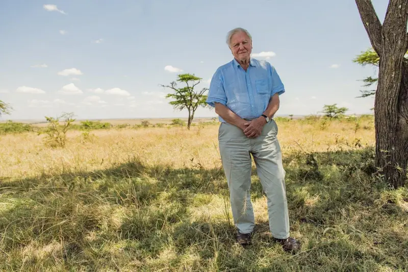 David Attenborough - Życie na naszej planecie