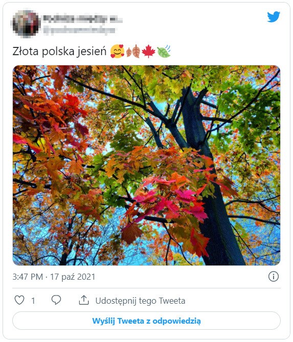 Złota polska jesień