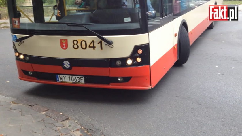 autobus