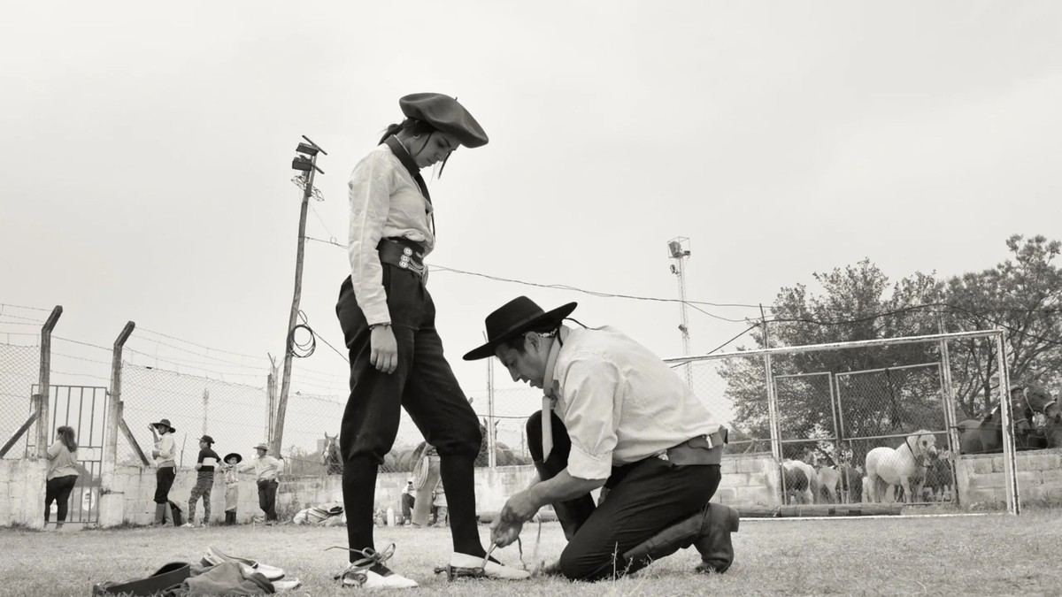 "Gaucho Gaucho"