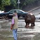 GEORGIA FLOOD