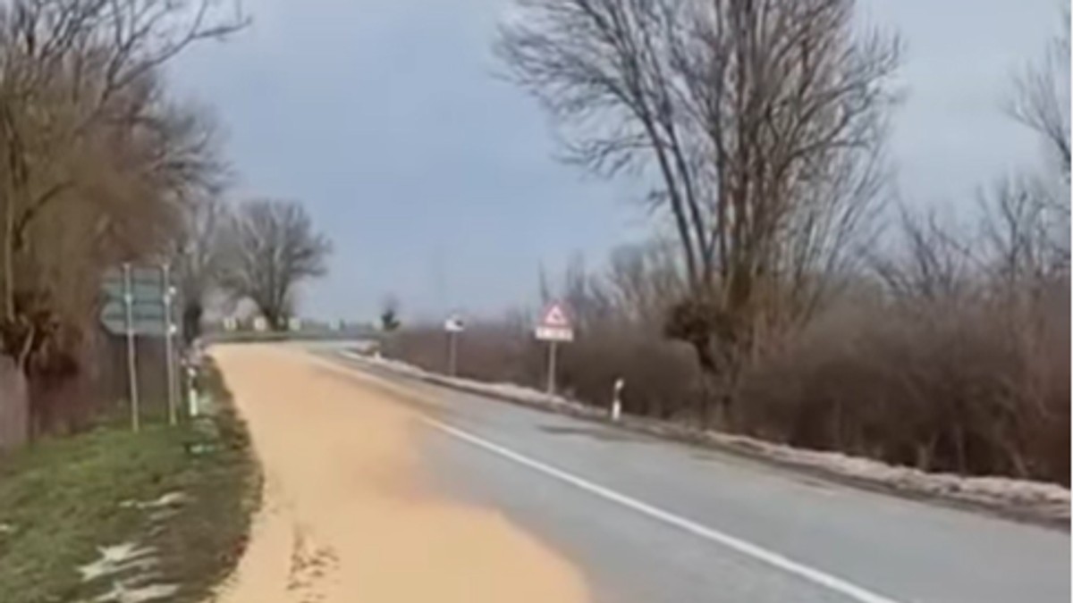 Prosuto žito po putu