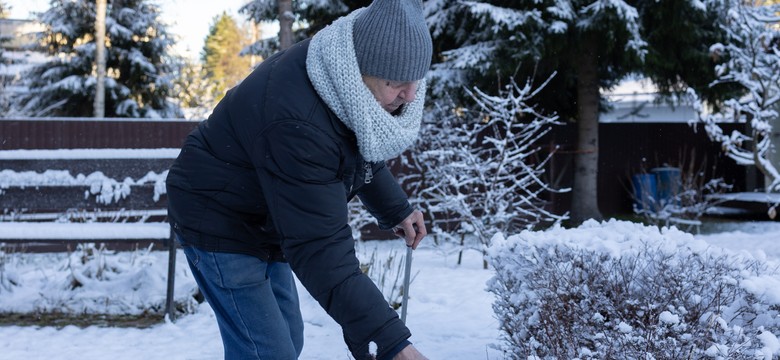 Trwa "stopniowa likwidacja Rodzinnych Ogrodów Działkowych". Apelują do rządu w imieniu polskich rodzin
