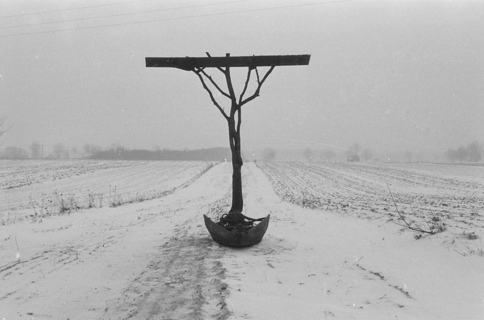 Symbole życia po śmierci. Rzeźba komemoratywna Krzysztofa M. Bednarskiego (20 maja 2021 r. - 13 marca 2022 r.). Na zdjęciu: "Thanatos polski" sfotografowany w miejscu powstania (1984)