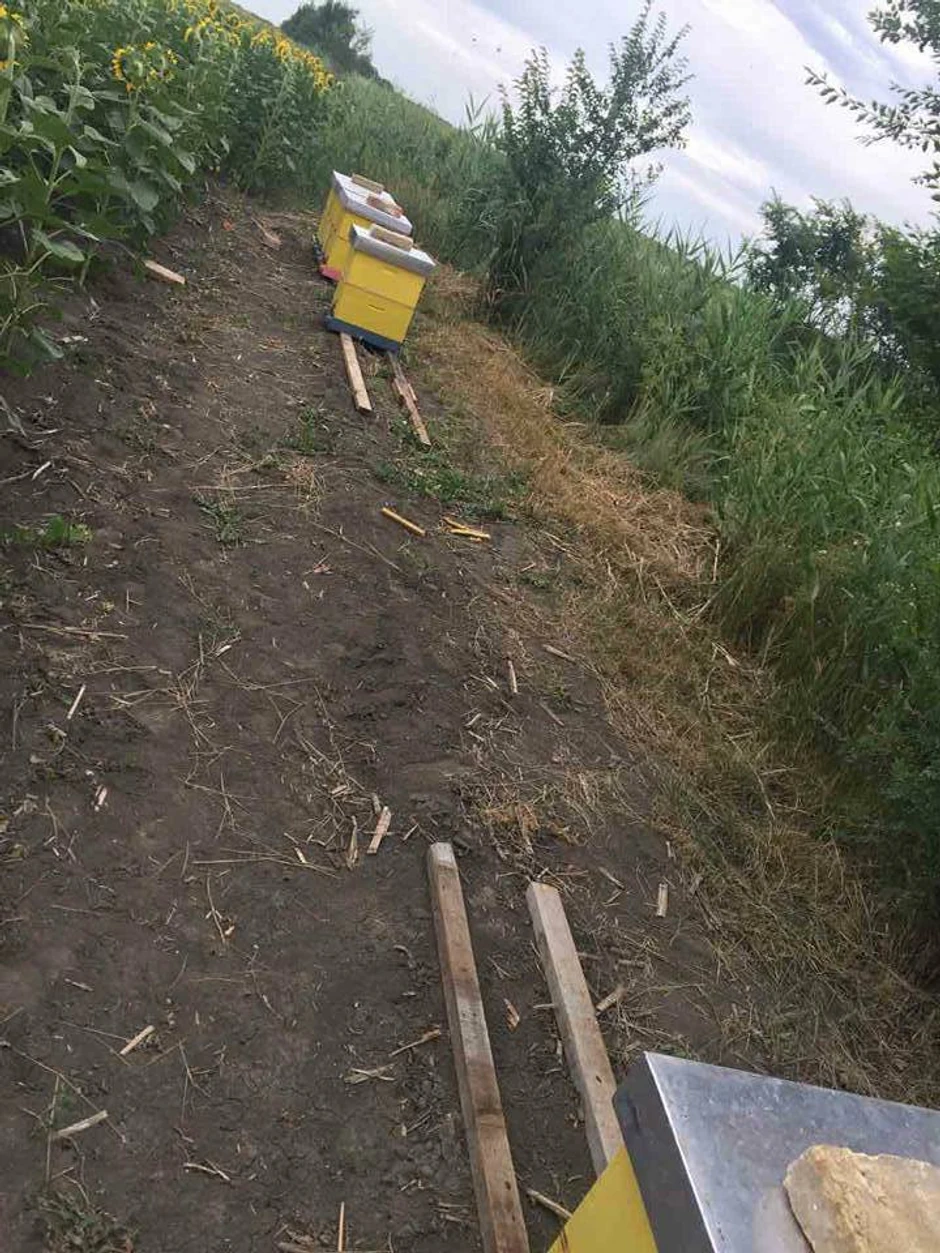 Pčelari na meti lopova