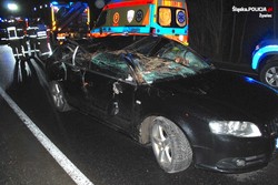 Drzewo runęło na drogę. 3 auta zmiażdżone, IMGW ostrzega przed silnym wiatrem