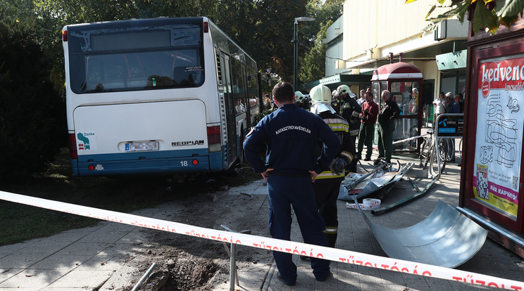 Az idős asszonyt halálra gázolta a busz, aminek beakadhatott a gázpedálja, ezért képtelen volt megállni /Fotó: Isza Ferenc
