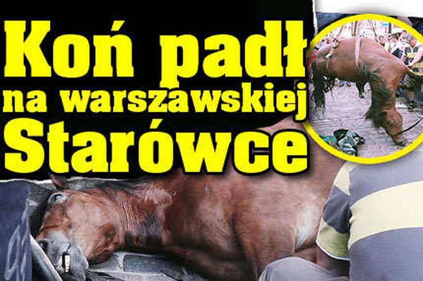 Koń padł na warszawskiej Starówce. Film