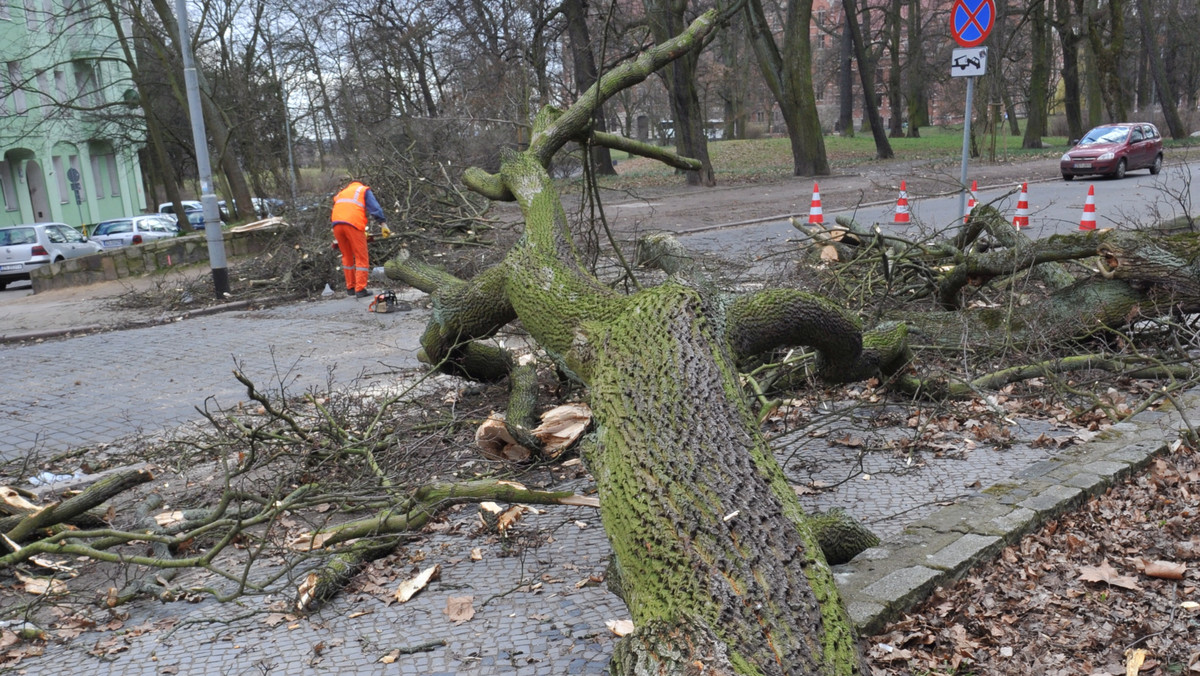Tysiące powalonych drzew, zniszczone auta, uszkodzone dachy, tysiące osób pozbawionych prądu - to bilans wichur, które po wietrznym weekendzie także w poniedziałek przechodzą nad Polską. Najtrudniejsza sytuacja jest na Mazowszu i Pomorzu.